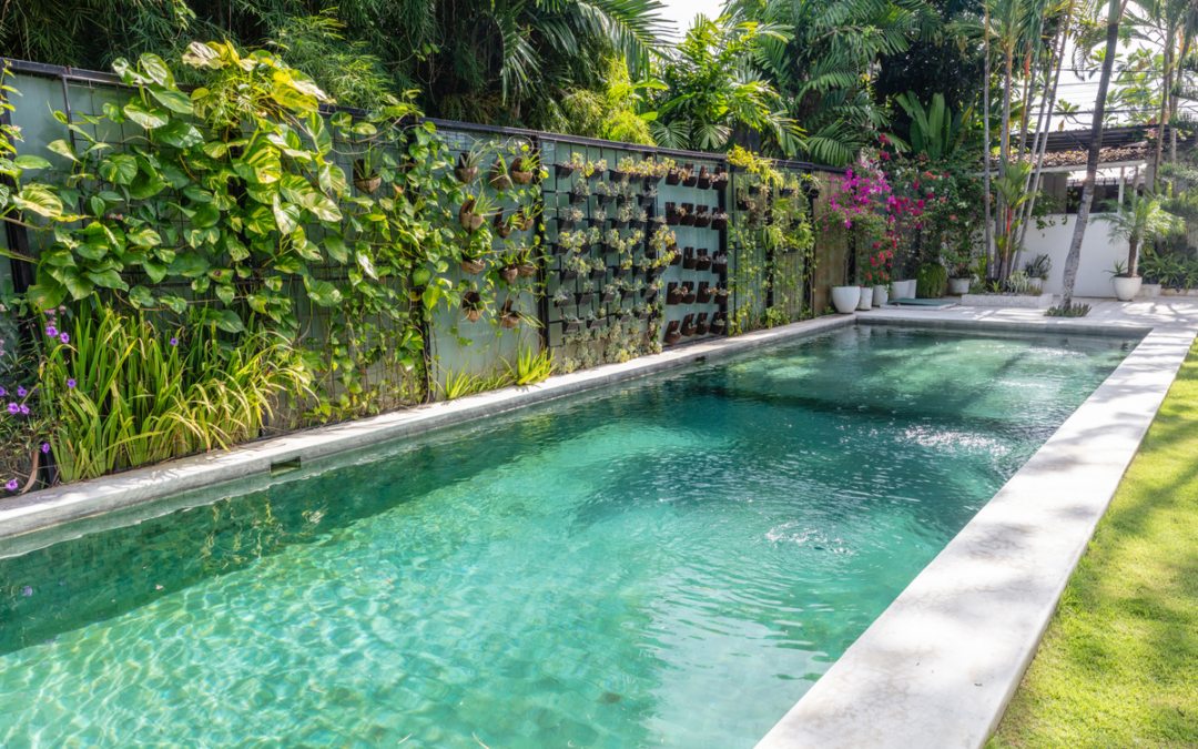 Landscaping Plant Ideas for Around Your Pool